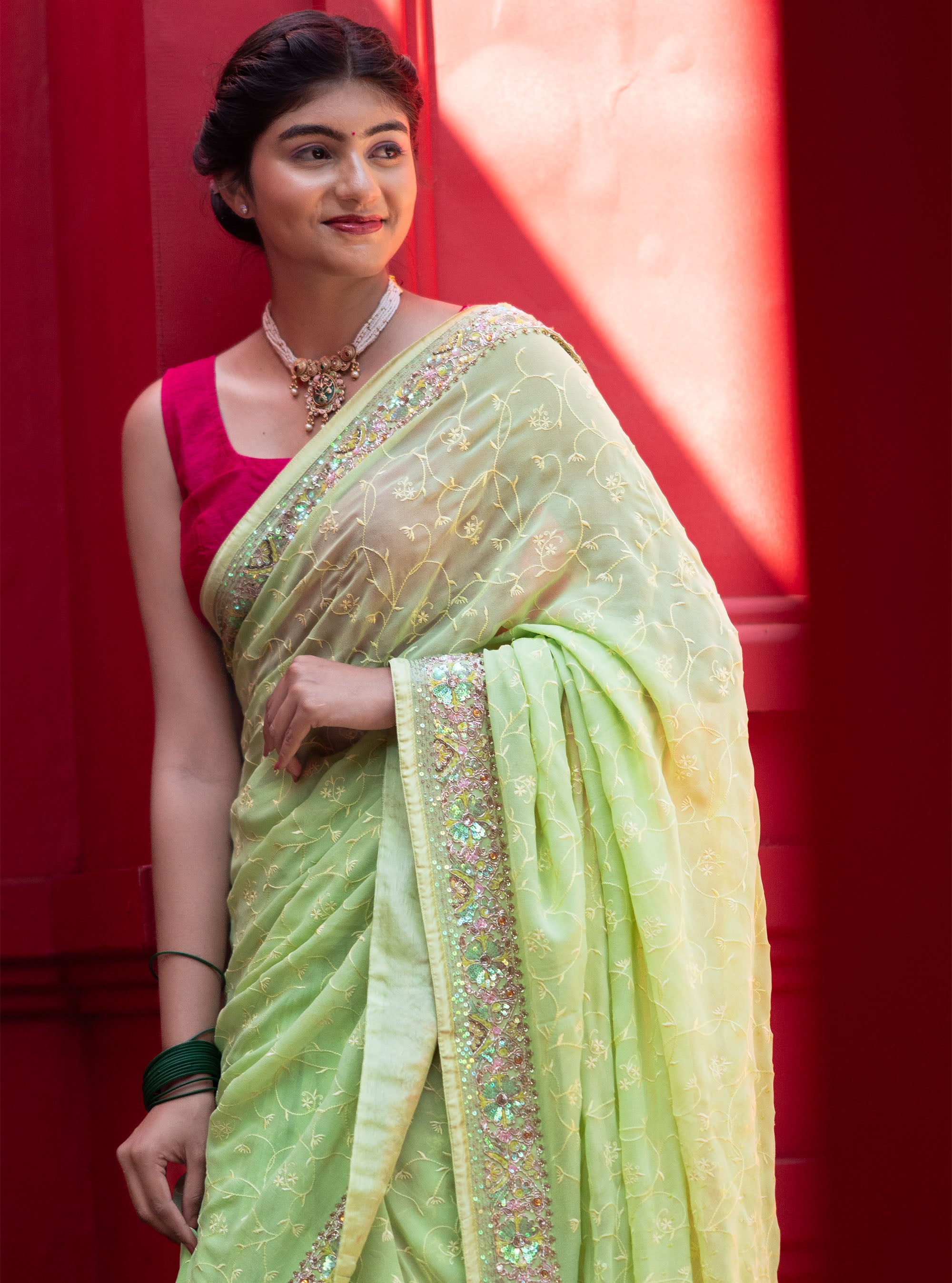 Zareen Hand-embroidered Georgette Saree