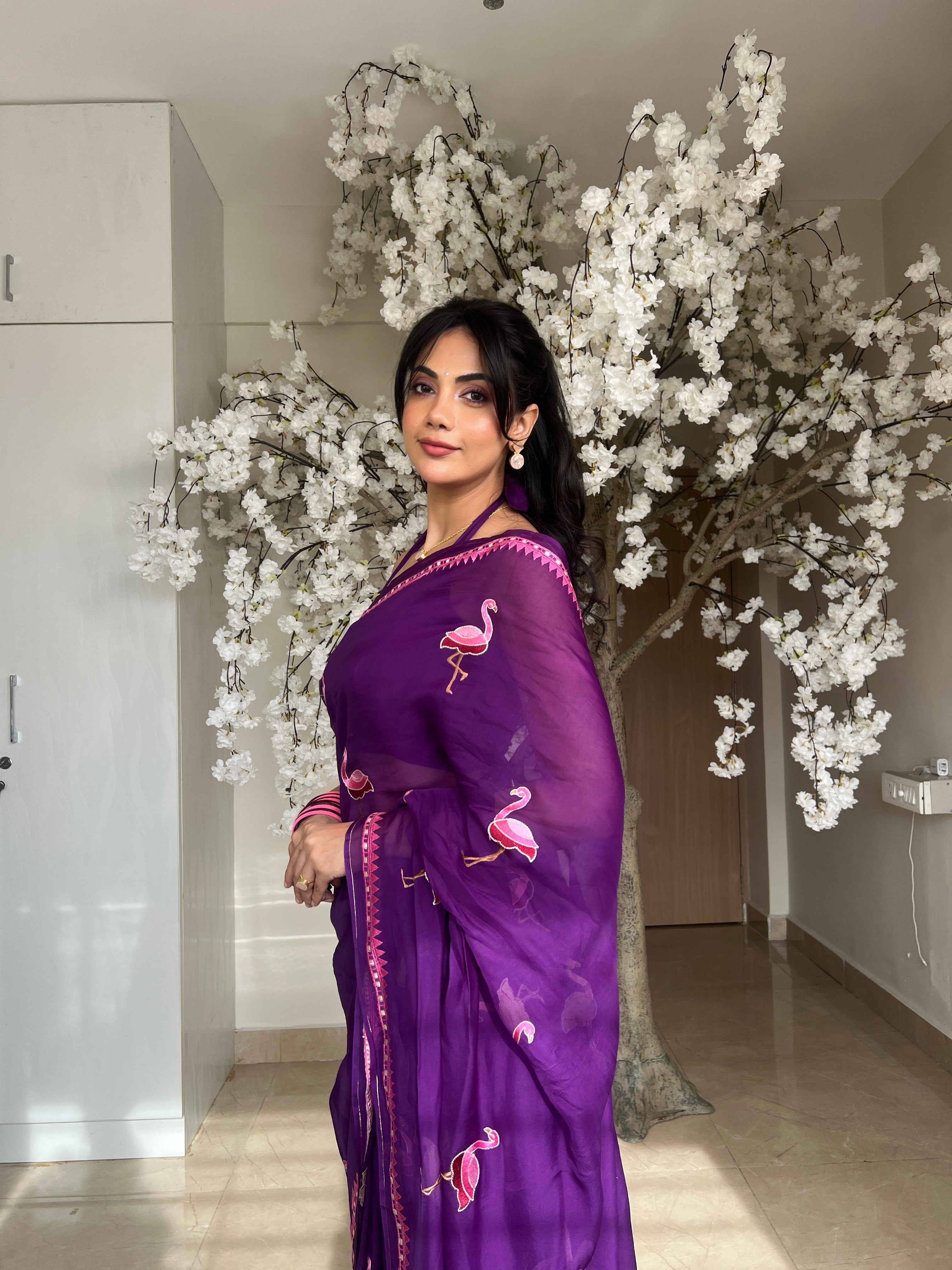 Malina Embroidered Flamingo Organza Saree